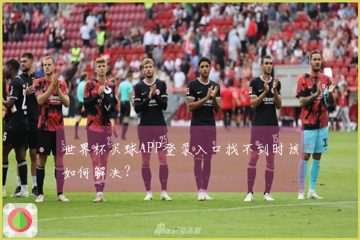 世界杯买球APP登录入口找不到时该如何解决？