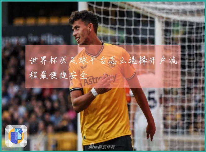 世界杯买足球平台怎么选择开户流程最便捷安全
