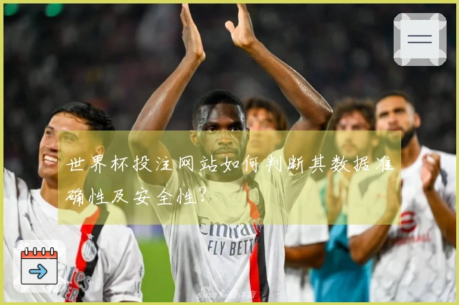 世界杯投注网站如何判断其数据准确性及安全性？
