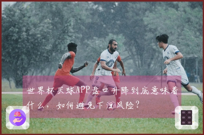 世界杯买球APP盘口升降到底意味着什么，如何避免下注风险？