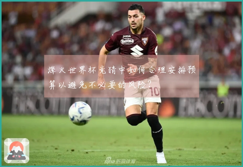 烽火世界杯竞猜中如何合理安排预算以避免不必要的风险？